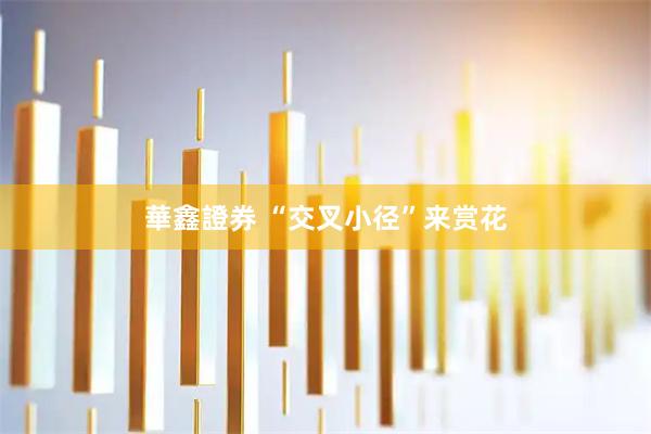 華鑫證券 “交叉小径”来赏花